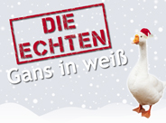 DIE ECHTEN Gans in Weiß